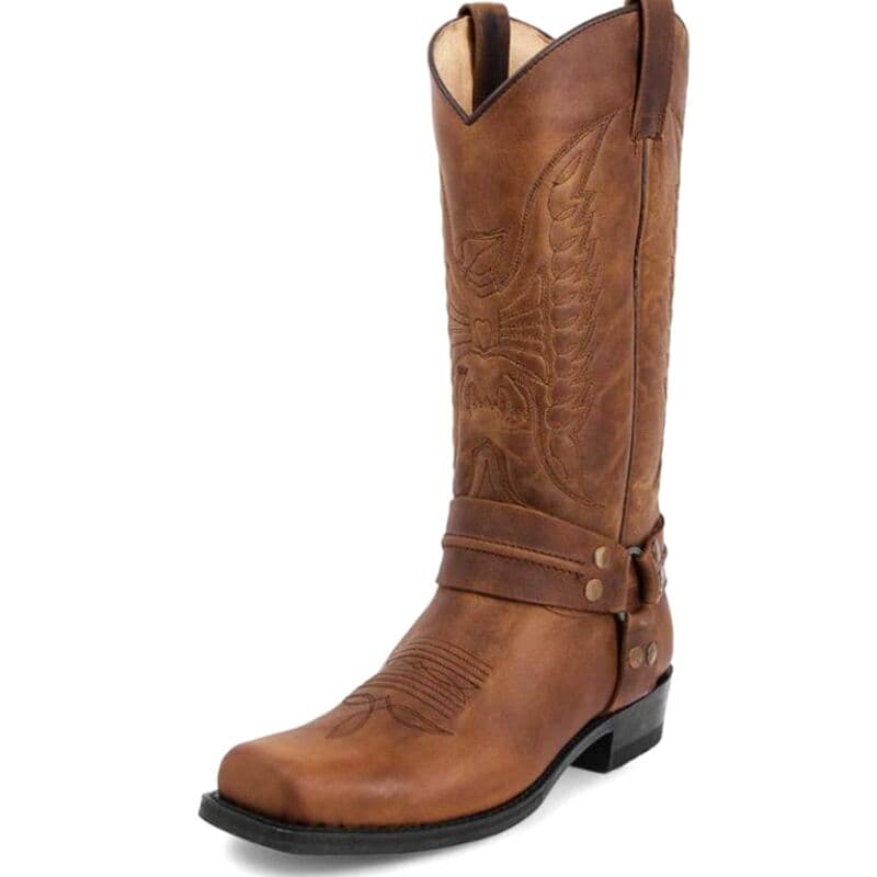 Bottes Cowboy Homme